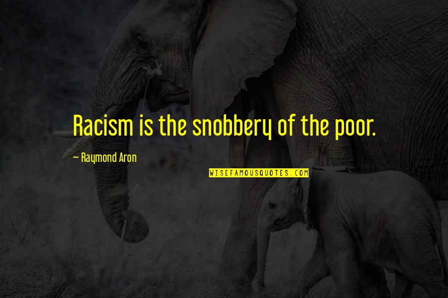 Ciufulit In Engleza Quotes By Raymond Aron: Racism is the snobbery of the poor.