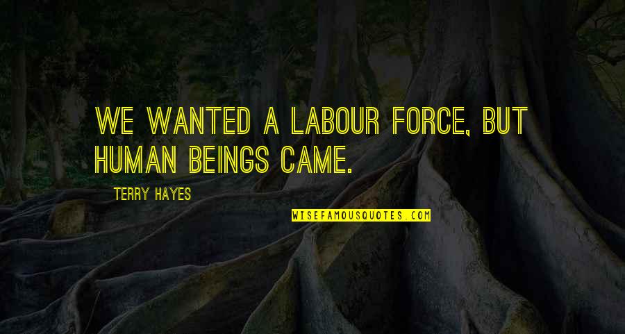 Ciumenta Cesar Quotes By Terry Hayes: We wanted a labour force, but human beings Ciumenta Cesar Quotes By Terry Hayes: We wanted a labour force, but human beings