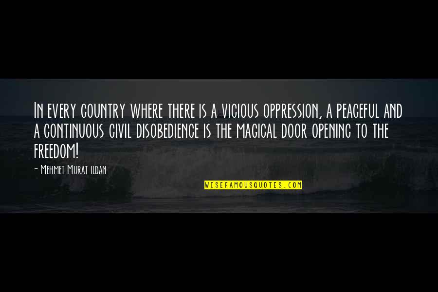 Civil Freedom Quotes By Mehmet Murat Ildan: In every country where there is a vicious