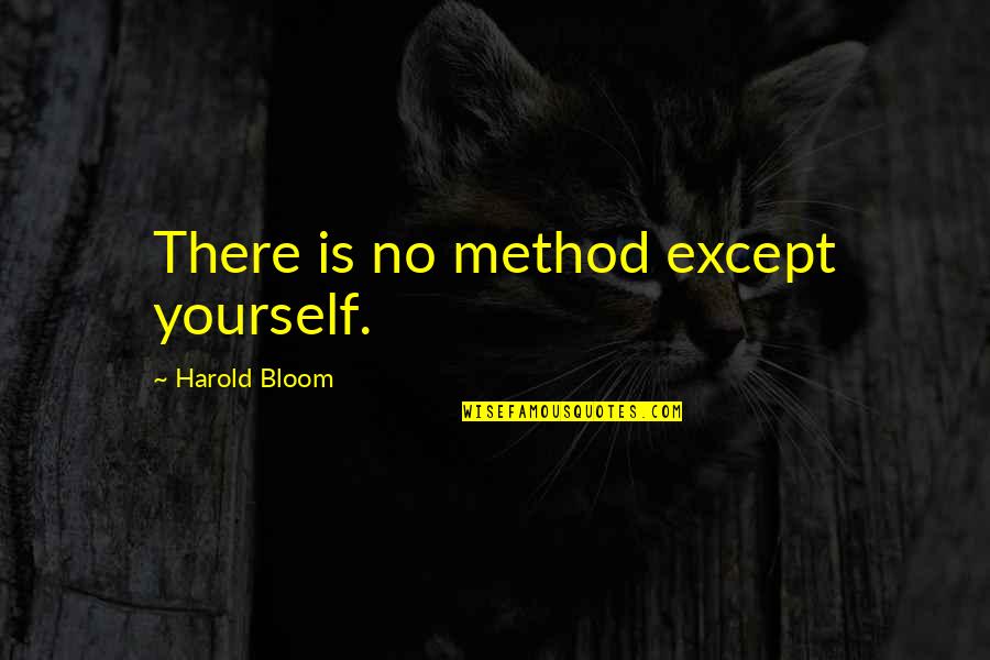 Civil Services Quotes By Harold Bloom: There is no method except yourself.