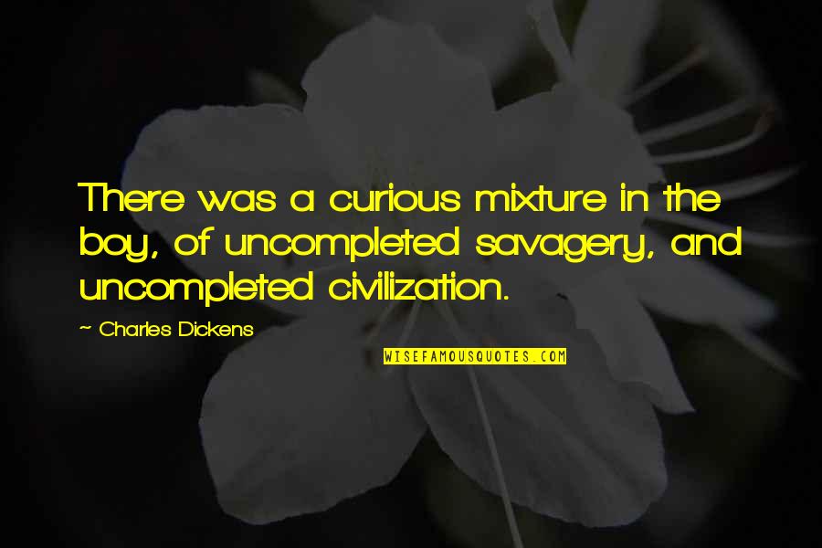 Civilization And Savagery Quotes By Charles Dickens: There was a curious mixture in the boy,