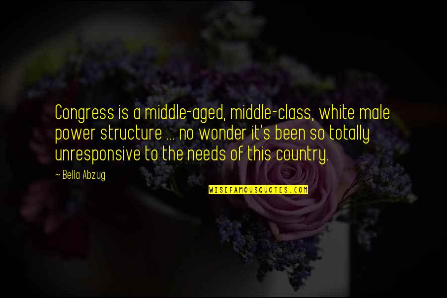 Civilization In The Adventures Of Huckleberry Finn Quotes By Bella Abzug: Congress is a middle-aged, middle-class, white male power