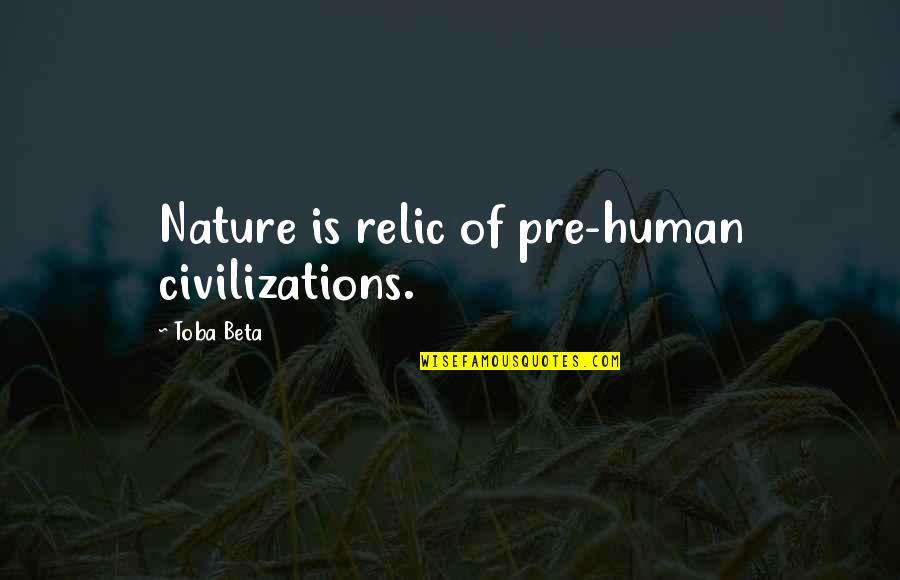 Civilizations 4 Quotes By Toba Beta: Nature is relic of pre-human civilizations.