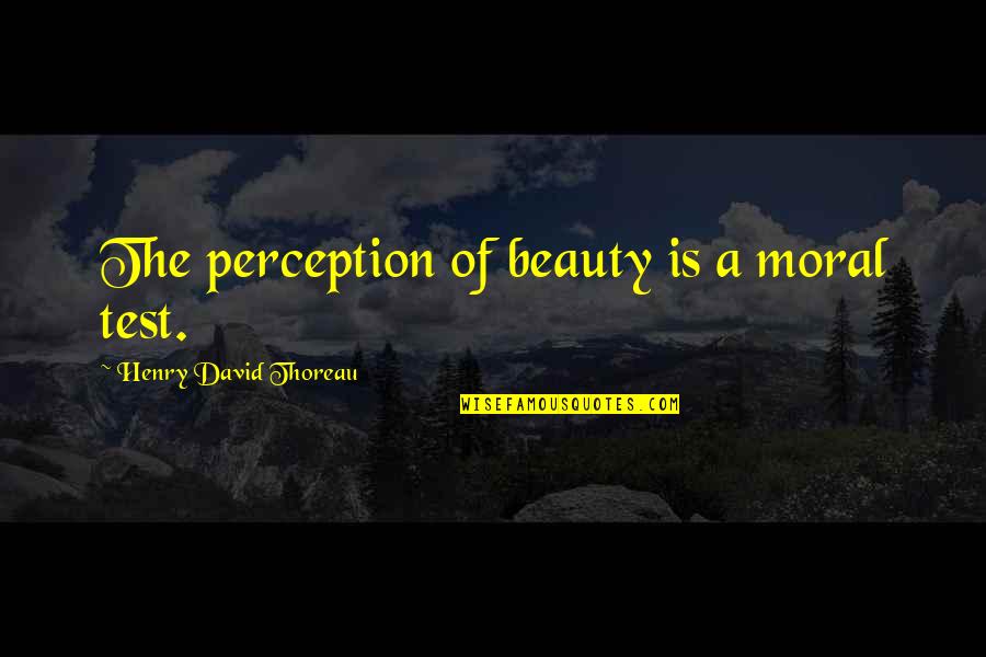 Civilizzation Quotes By Henry David Thoreau: The perception of beauty is a moral test.