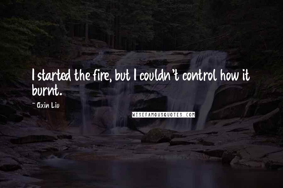 Cixin Liu quotes: I started the fire, but I couldn't control how it burnt.