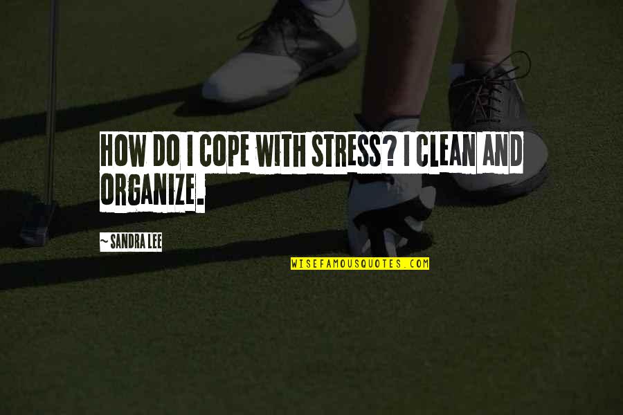 Cizmar Jan Quotes By Sandra Lee: How do I cope with stress? I clean