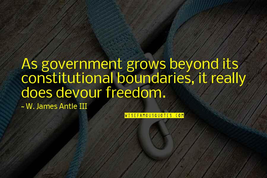 Ckeditor Adds Quotes By W. James Antle III: As government grows beyond its constitutional boundaries, it