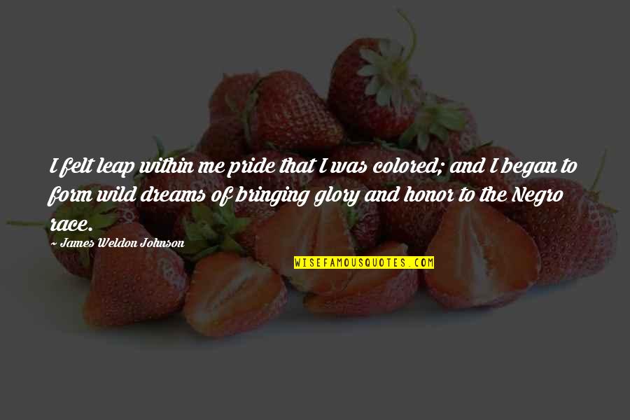 Ckin Quotes By James Weldon Johnson: I felt leap within me pride that I