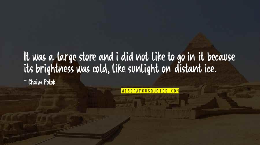 Clabots Belgique Quotes By Chaim Potok: It was a large store and i did Clabots Belgique Quotes By Chaim Potok: It was a large store and i did