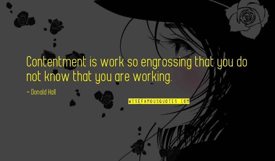Cladiri Istorice Quotes By Donald Hall: Contentment is work so engrossing that you do