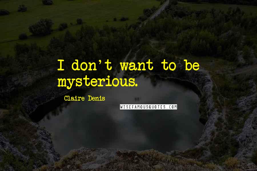 Claire Denis quotes: I don't want to be mysterious.