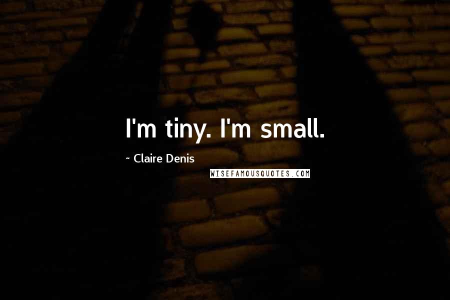 Claire Denis quotes: I'm tiny. I'm small.
