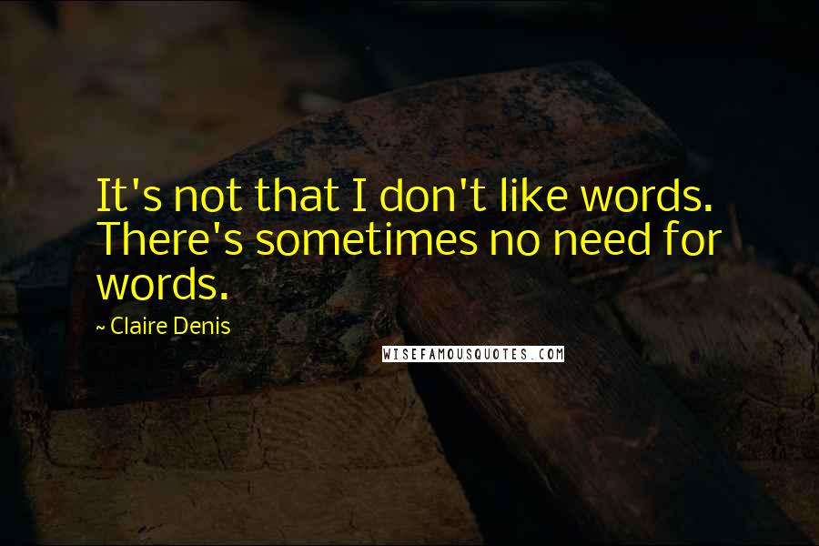 Claire Denis quotes: It's not that I don't like words. There's sometimes no need for words.