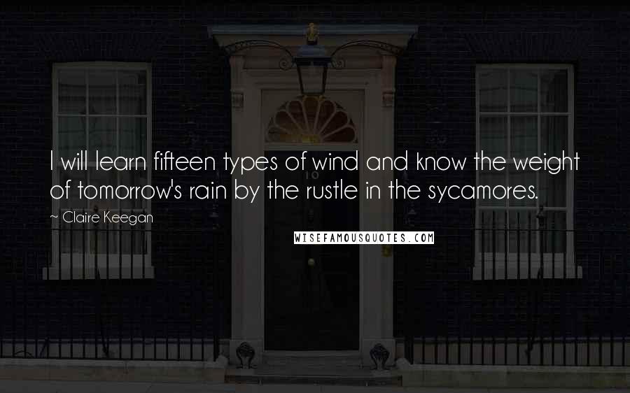Claire Keegan quotes: I will learn fifteen types of wind and know the weight of tomorrow's rain by the rustle in the sycamores.