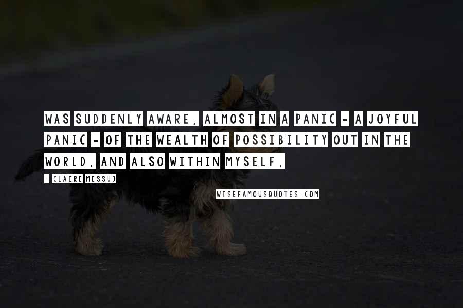 Claire Messud quotes: Was suddenly aware, almost in a panic - a joyful panic - of the wealth of possibility out in the world, and also within myself.