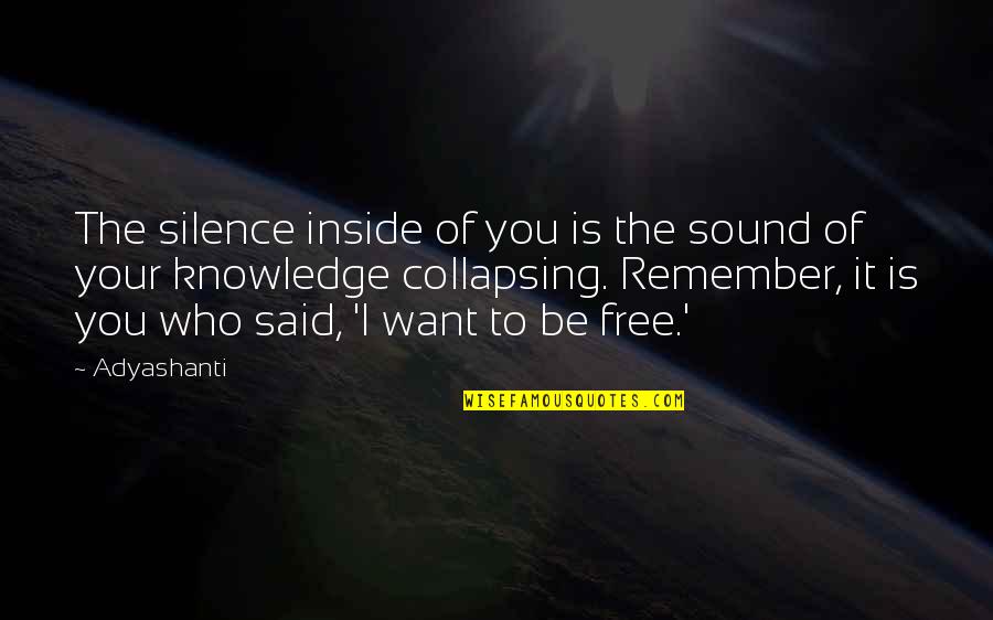 Claire Randall Quotes By Adyashanti: The silence inside of you is the sound