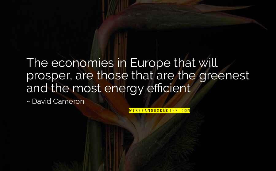 Claire Ulam Weiner Quotes By David Cameron: The economies in Europe that will prosper, are