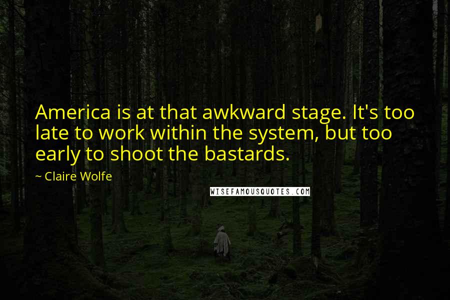Claire Wolfe quotes: America is at that awkward stage. It's too late to work within the system, but too early to shoot the bastards.