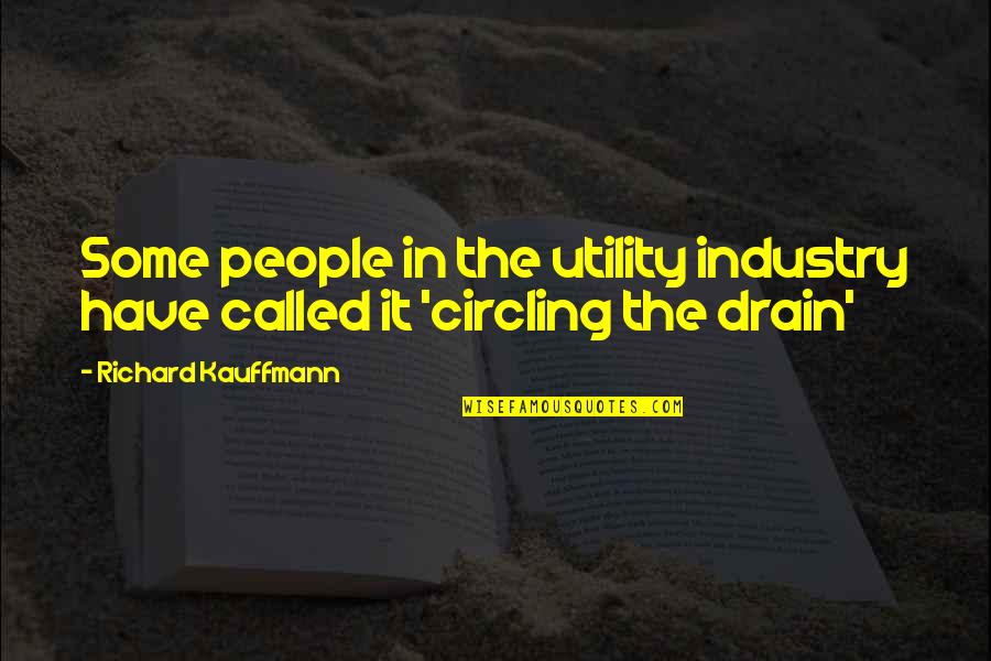 Clamber Synonym Quotes By Richard Kauffmann: Some people in the utility industry have called