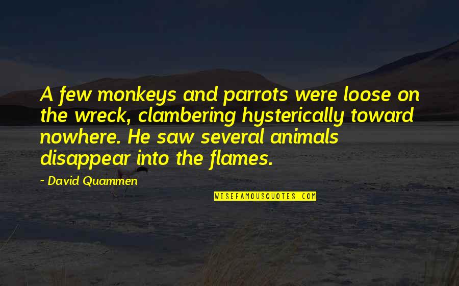 Clambering Quotes By David Quammen: A few monkeys and parrots were loose on