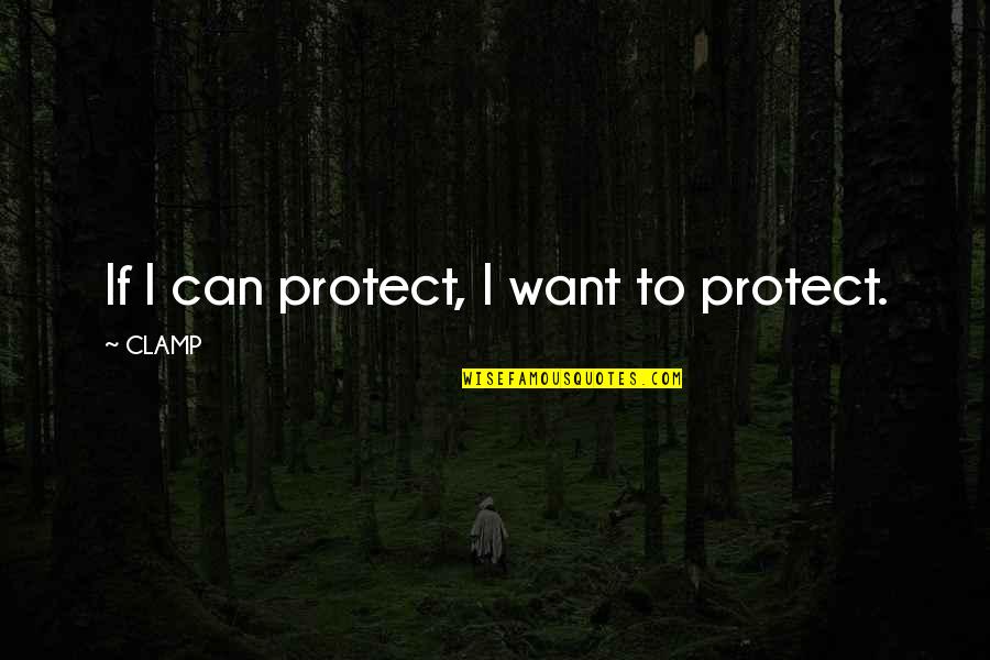 Clamp Quotes By CLAMP: If I can protect, I want to protect.