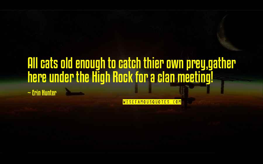 Clan Quotes By Erin Hunter: All cats old enough to catch thier own