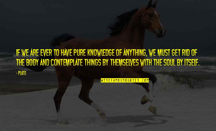 Clara Reeve Quotes By Plato: If we are ever to have pure knowledge Clara Reeve Quotes By Plato: If we are ever to have pure knowledge