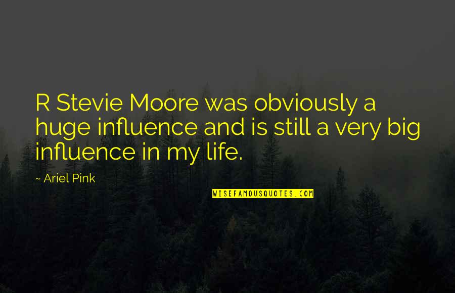 Clare Vanderpool Quotes By Ariel Pink: R Stevie Moore was obviously a huge influence