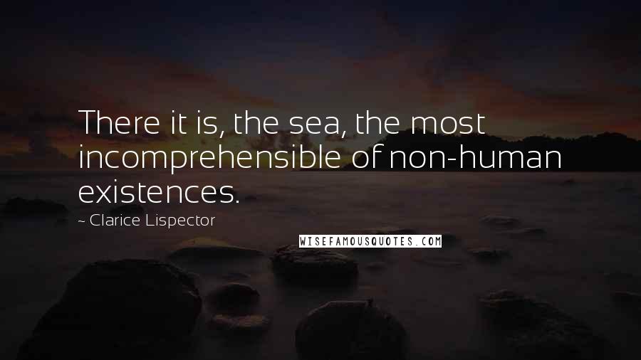 Clarice Lispector quotes: There it is, the sea, the most incomprehensible of non-human existences.