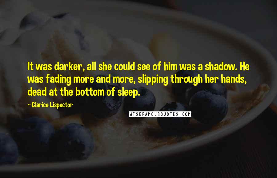 Clarice Lispector quotes: It was darker, all she could see of him was a shadow. He was fading more and more, slipping through her hands, dead at the bottom of sleep.