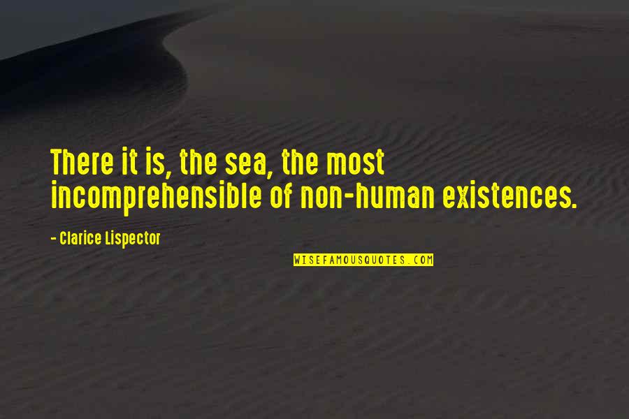 Clarice Quotes By Clarice Lispector: There it is, the sea, the most incomprehensible