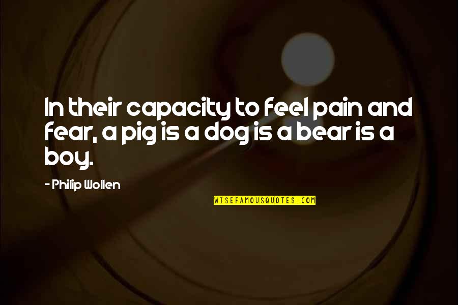 Clarimex Quotes By Philip Wollen: In their capacity to feel pain and fear,