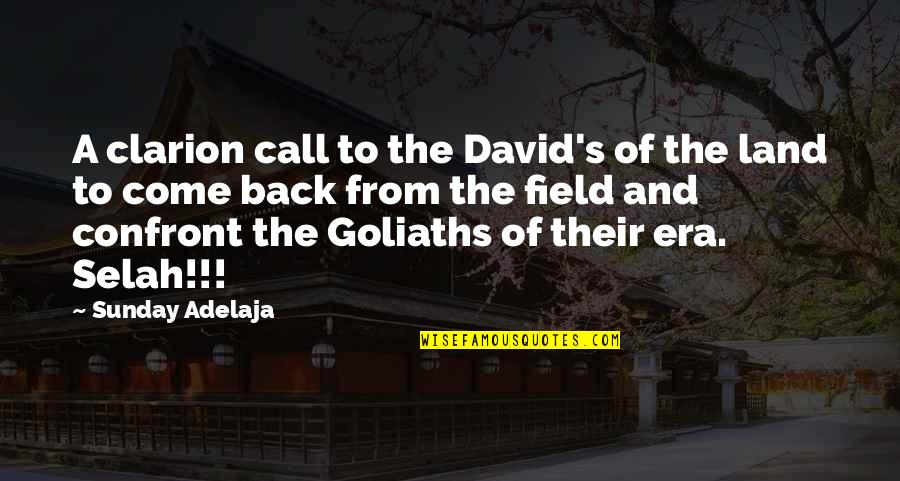 Clarion Call Quotes By Sunday Adelaja: A clarion call to the David's of the