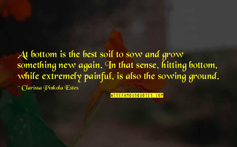 Clarissa Estes Quotes By Clarissa Pinkola Estes: At bottom is the best soil to sow