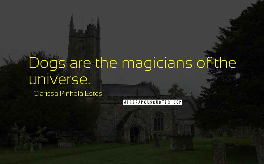Clarissa Pinkola Estes quotes: Dogs are the magicians of the universe. Clarissa Pinkola Estes quotes: Dogs are the magicians of the universe.
