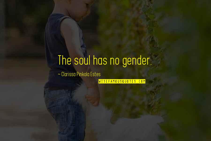 Clarissa Pinkola Estes Quotes By Clarissa Pinkola Estes: The soul has no gender.