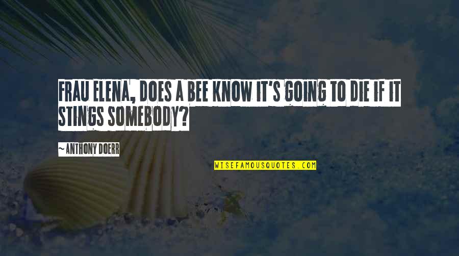Clarissas Recycling Quotes By Anthony Doerr: Frau Elena, does a bee know it's going