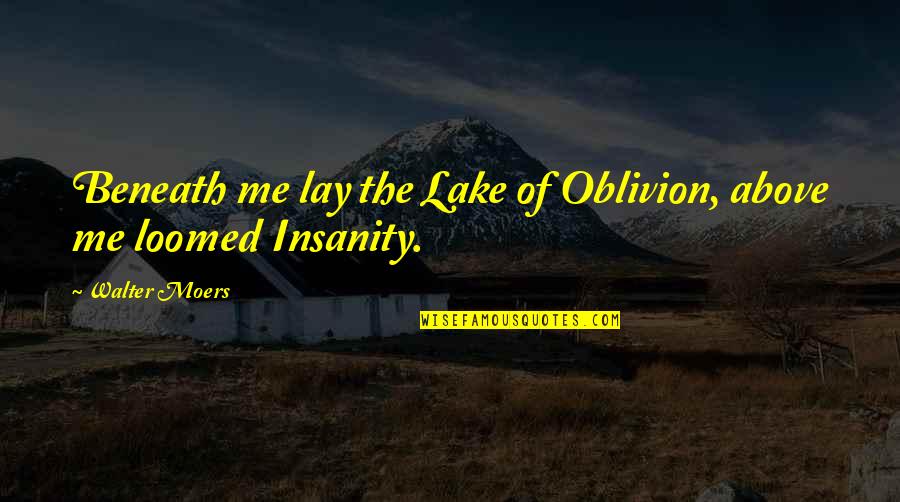 Clarity In Writing Quotes By Walter Moers: Beneath me lay the Lake of Oblivion, above