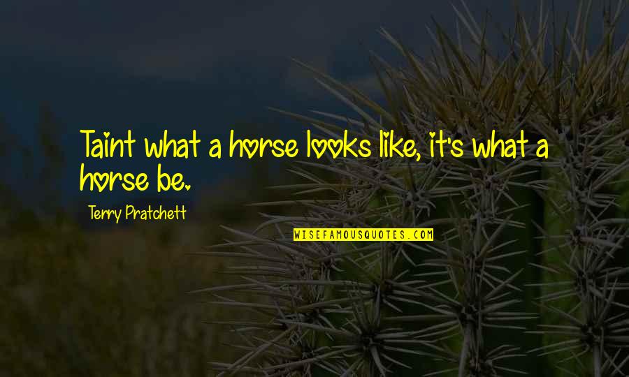 Clashy Quotes By Terry Pratchett: Taint what a horse looks like, it's what Clashy Quotes By Terry Pratchett: Taint what a horse looks like, it's what