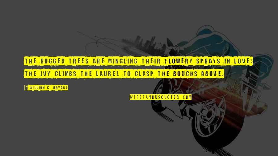Clasp Quotes By William C. Bryant: The rugged trees are mingling Their flowery sprays Clasp Quotes By William C. Bryant: The rugged trees are mingling Their flowery sprays