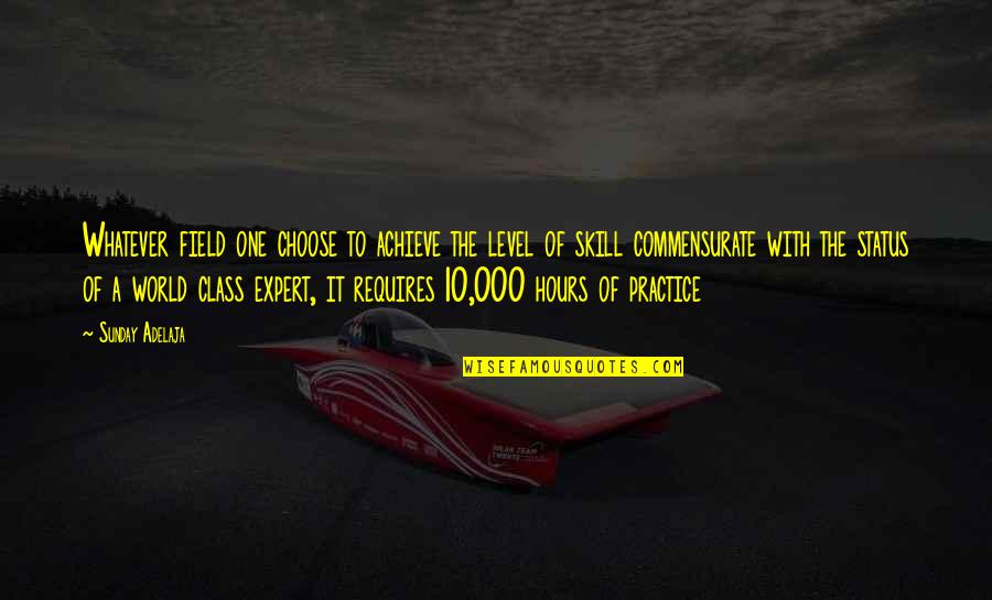 Class 10 Quotes By Sunday Adelaja: Whatever field one choose to achieve the level Class 10 Quotes By Sunday Adelaja: Whatever field one choose to achieve the level