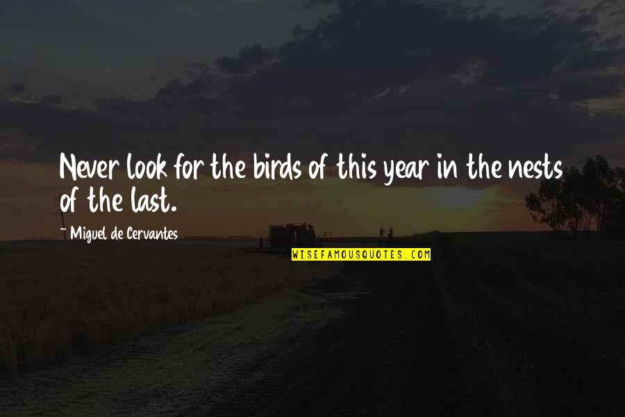 Classic Clothing Quotes By Miguel De Cervantes: Never look for the birds of this year