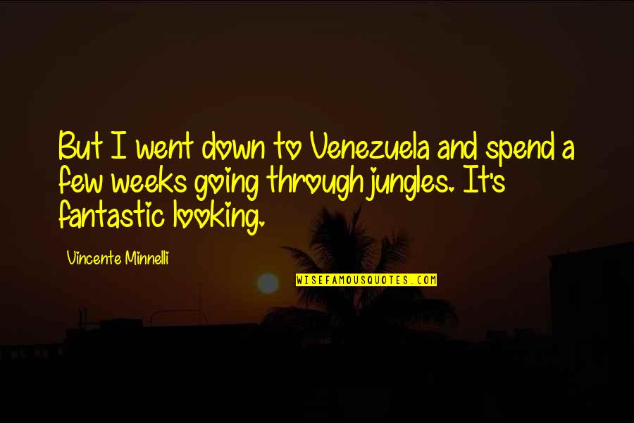 Classic Shredder Quotes By Vincente Minnelli: But I went down to Venezuela and spend