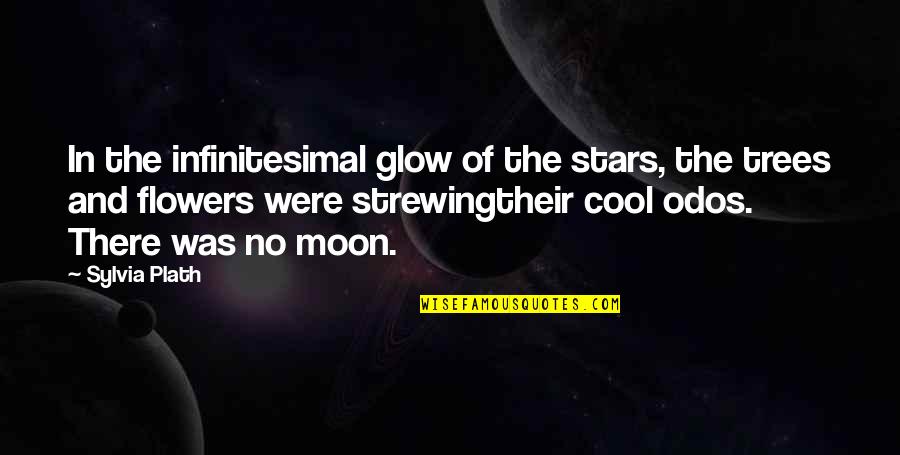 Classics Quotes By Sylvia Plath: In the infinitesimal glow of the stars, the
