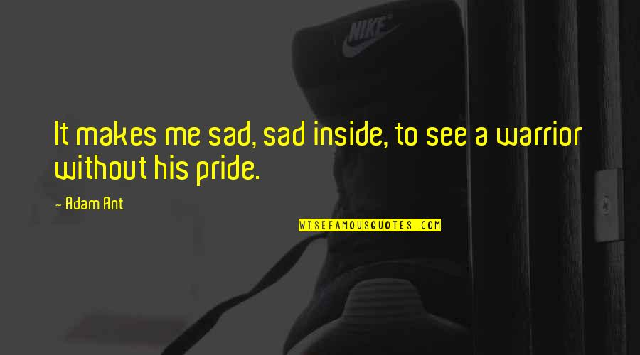 Classifications Of Business Quotes By Adam Ant: It makes me sad, sad inside, to see