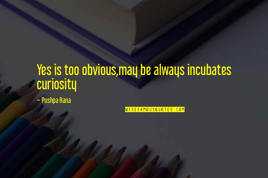 Classified Quotes By Pushpa Rana: Yes is too obvious,may be always incubates curiosity