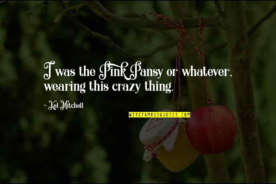 Classy Lady Quotes By Kel Mitchell: I was the Pink Pansy or whatever, wearing