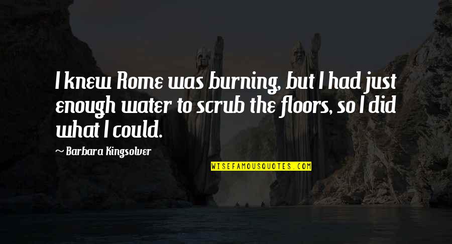 Classy Looks Quotes By Barbara Kingsolver: I knew Rome was burning, but I had Classy Looks Quotes By Barbara Kingsolver: I knew Rome was burning, but I had