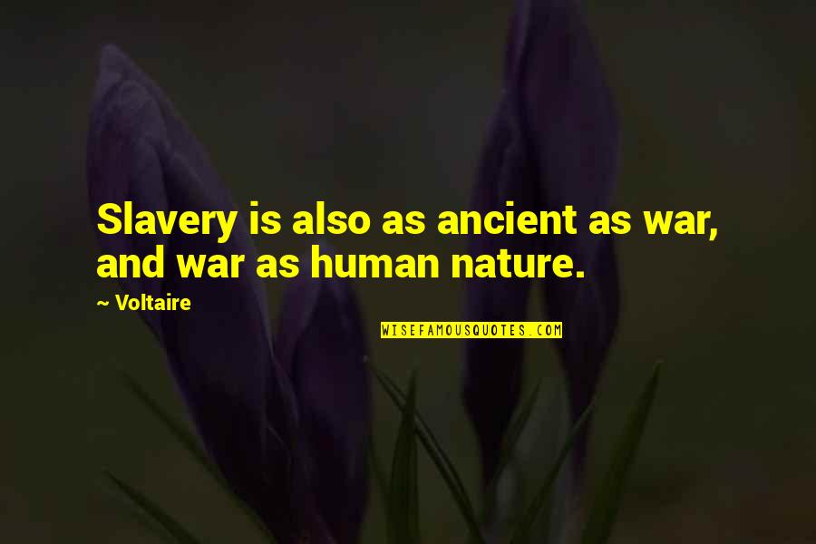 Classy Southern Girl Quotes By Voltaire: Slavery is also as ancient as war, and