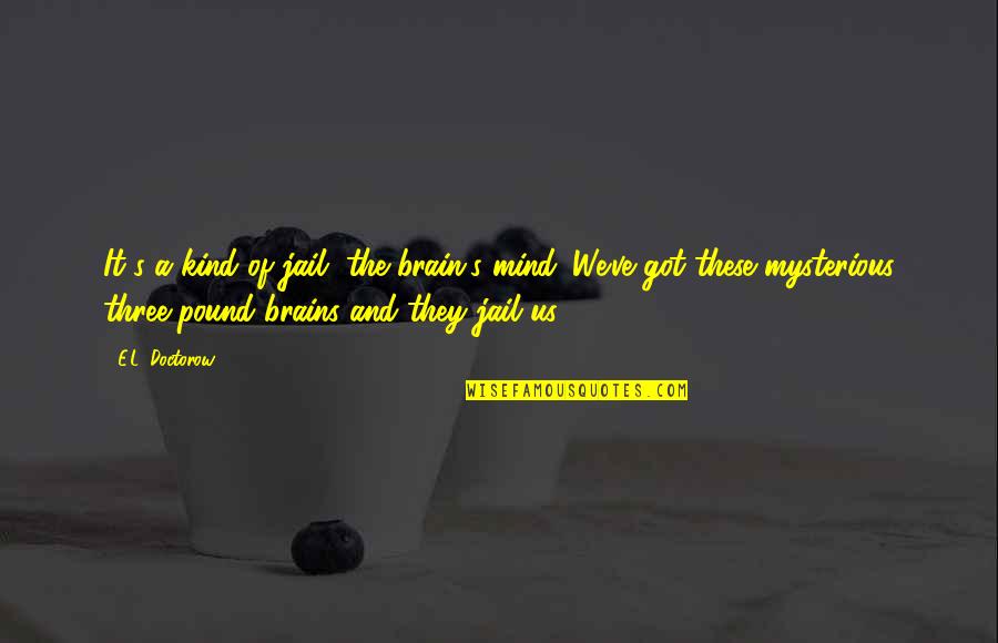 Claude Dornier Quotes By E.L. Doctorow: It's a kind of jail, the brain's mind. Claude Dornier Quotes By E.L. Doctorow: It's a kind of jail, the brain's mind.